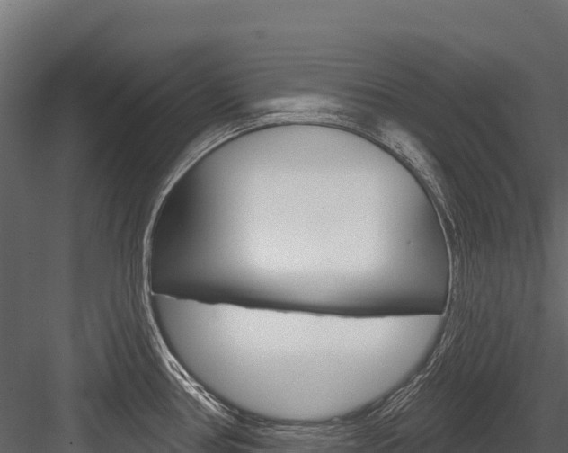 X0000084561386200702230950