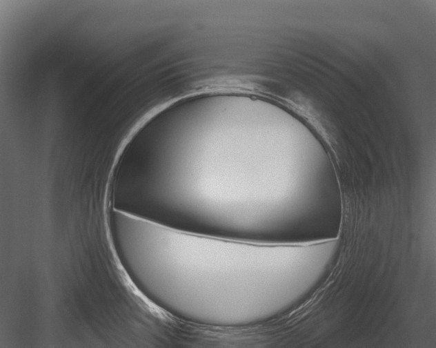 X0000084561387200702230950