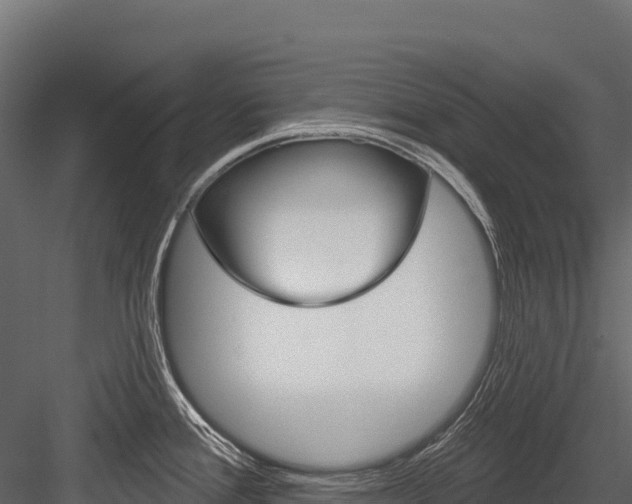 X0000084561388200702230950