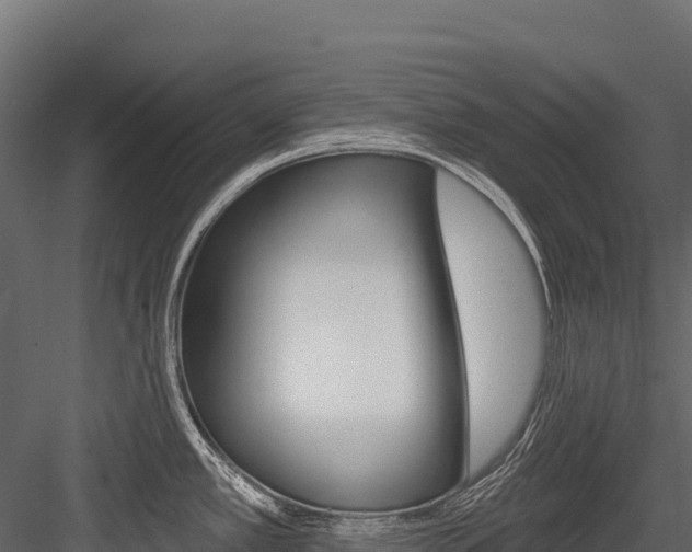 X0000084561389200702230950
