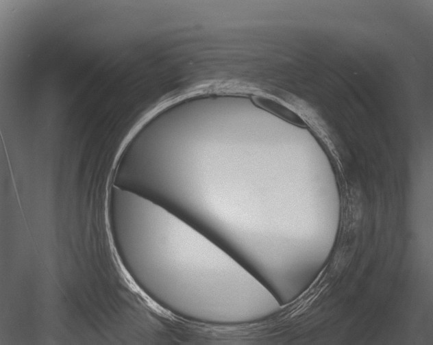 X0000084561390200702230950