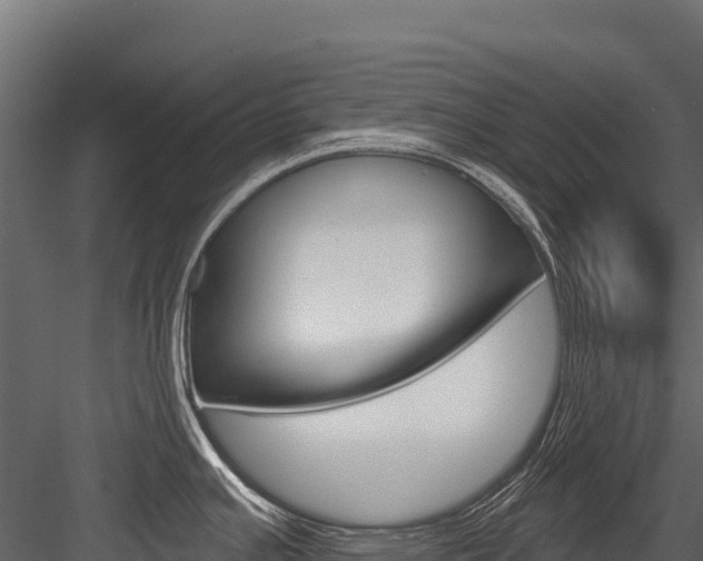 X0000084561391200702230950