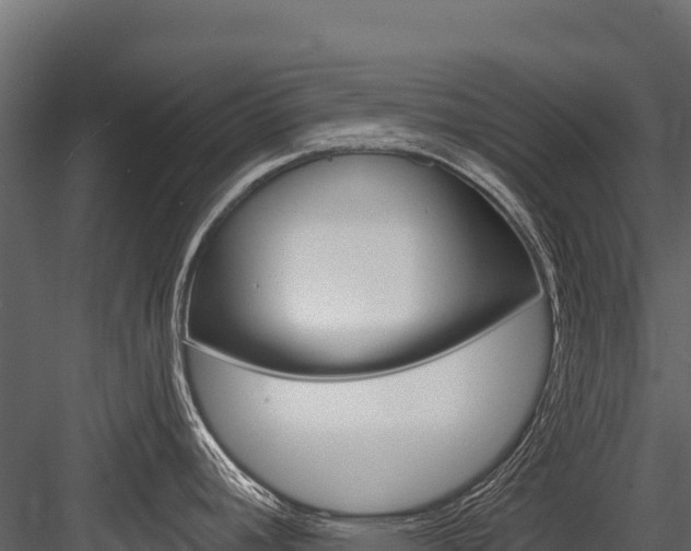 X0000084561392200702230950