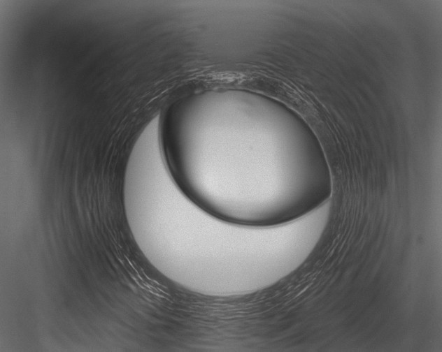 X0000084561394200702230949