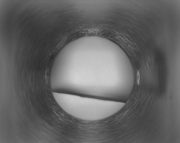 X0000084561395200702230949