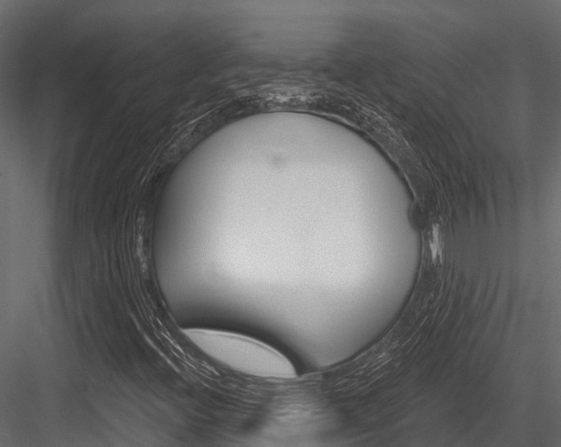 X0000084561396200702230949