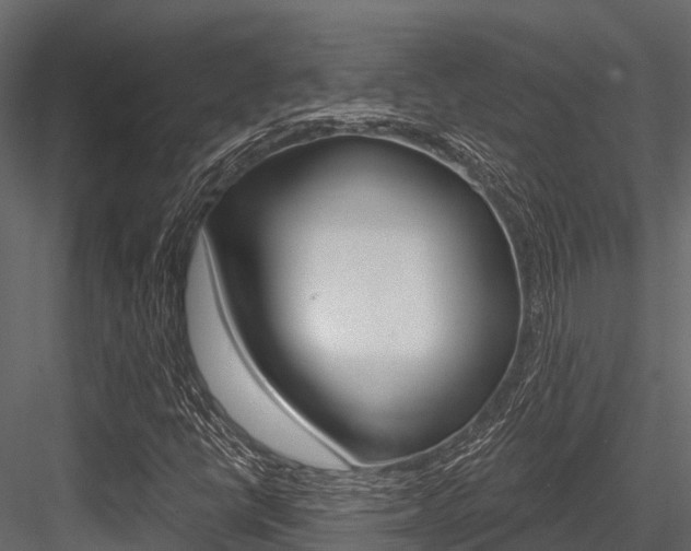 X0000084561398200702230949