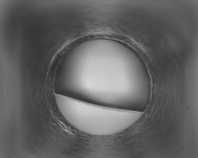 X0000084561400200702230949