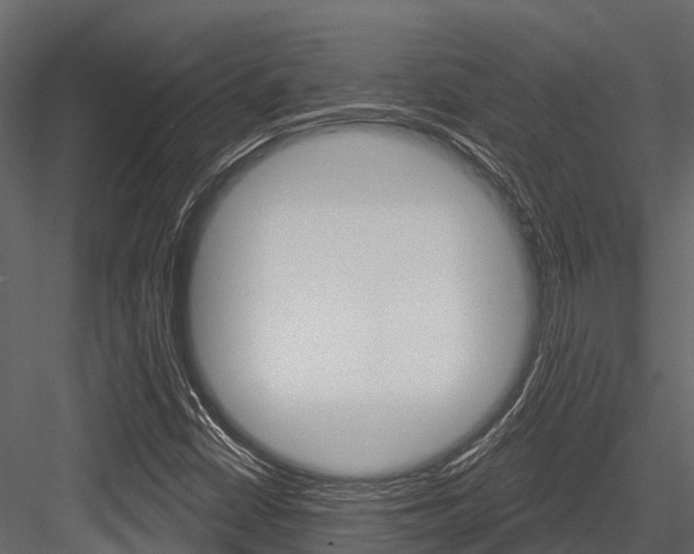 X0000084561402200702230949
