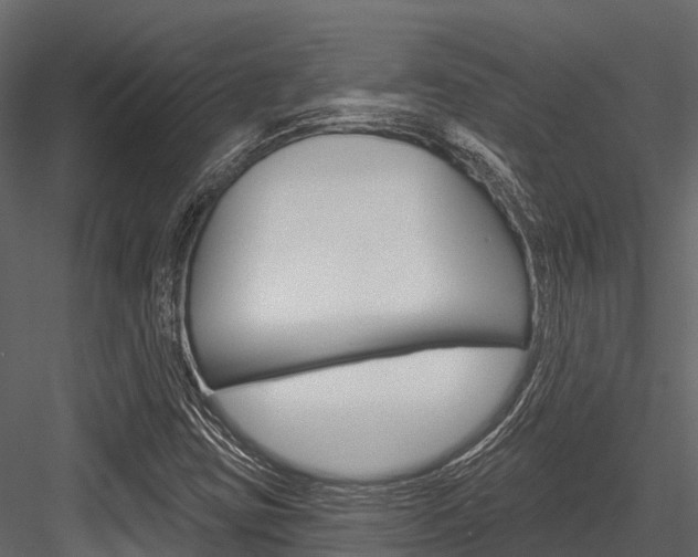 X0000084561403200702230949