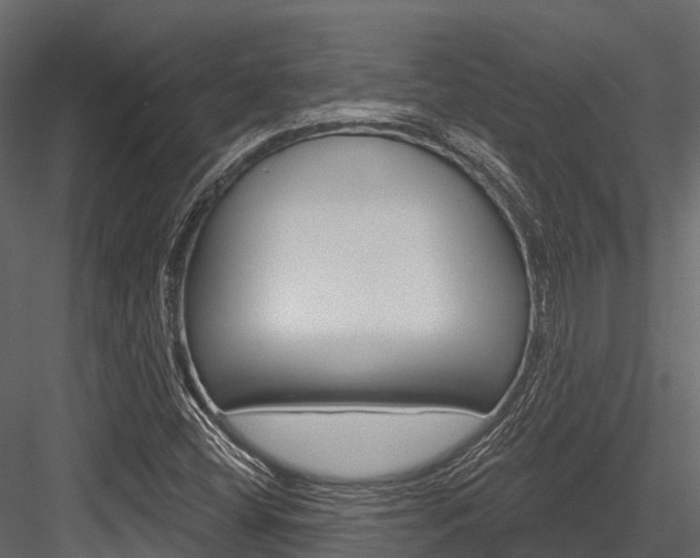 X0000084561404200702230949