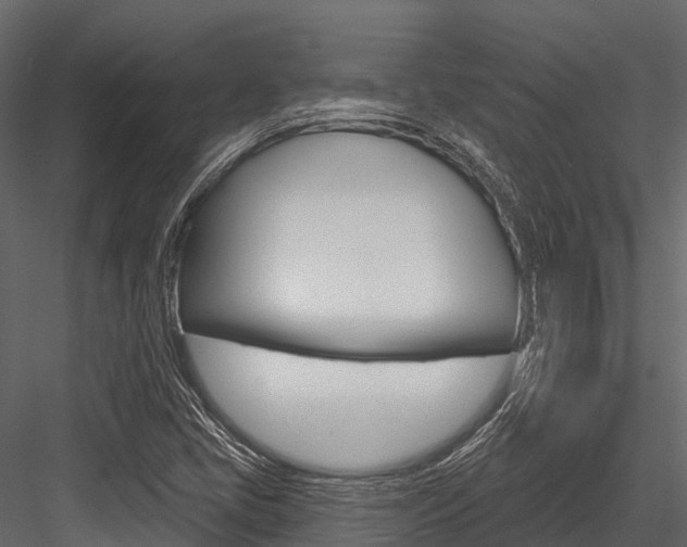 X0000084561405200702230949