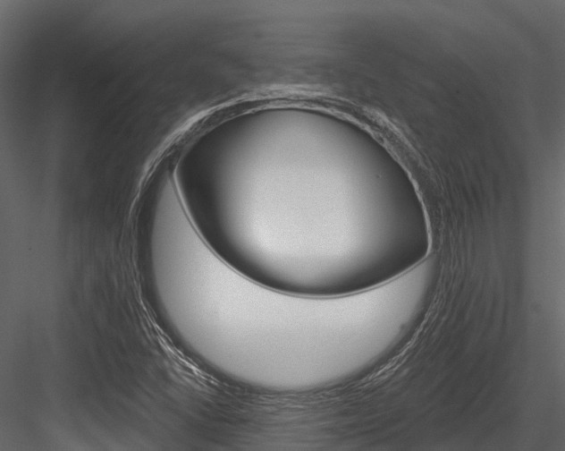 X0000084561406200702230949