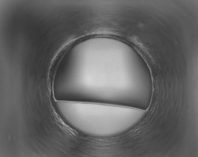 X0000084561408200702230949