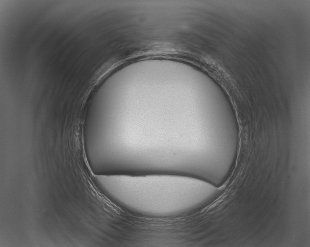 X0000084561409200702230949