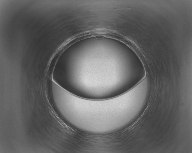X0000084561410200702230949