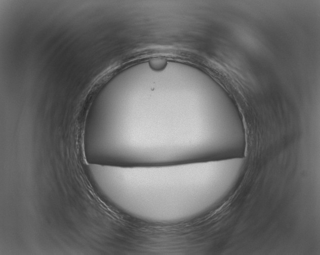 X0000084561411200702230949