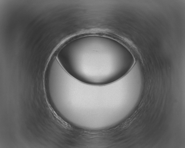 X0000084561412200702230949