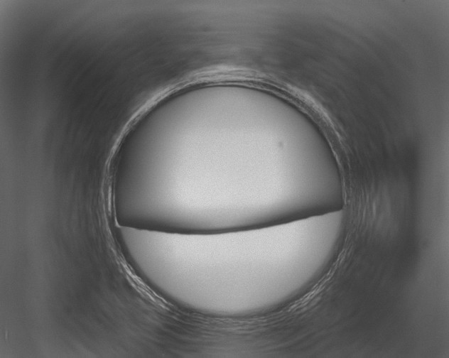 X0000084561413200702230949