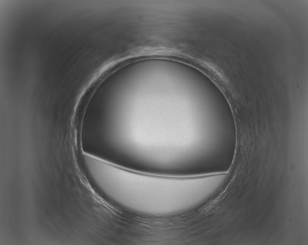 X0000084561414200702230949