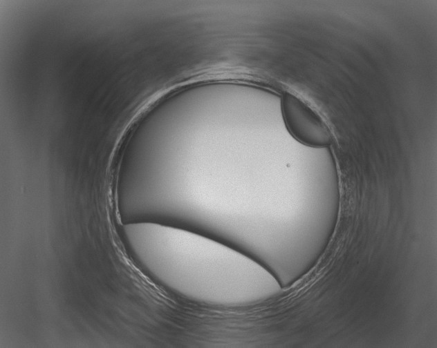 X0000084561415200702230949