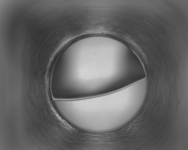 X0000084561416200702230949