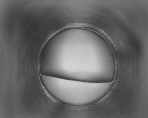 X0000084561417200702230949