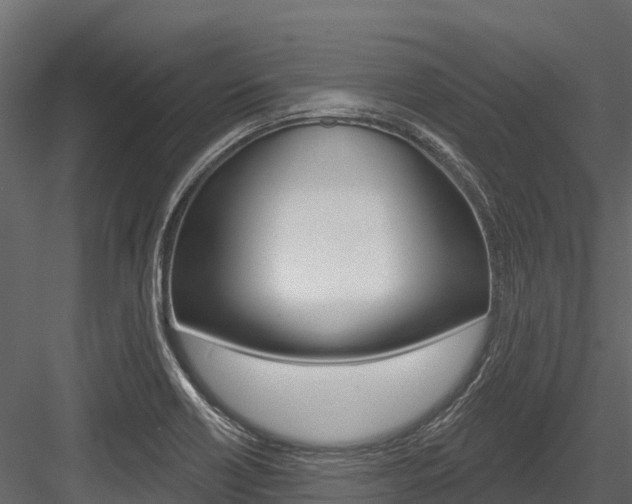 X0000084561418200702230949