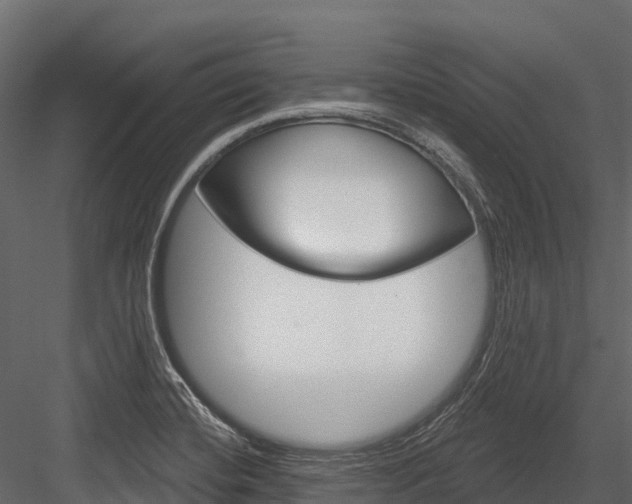 X0000084561420200702230949
