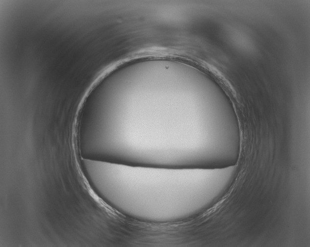 X0000084561421200702230949
