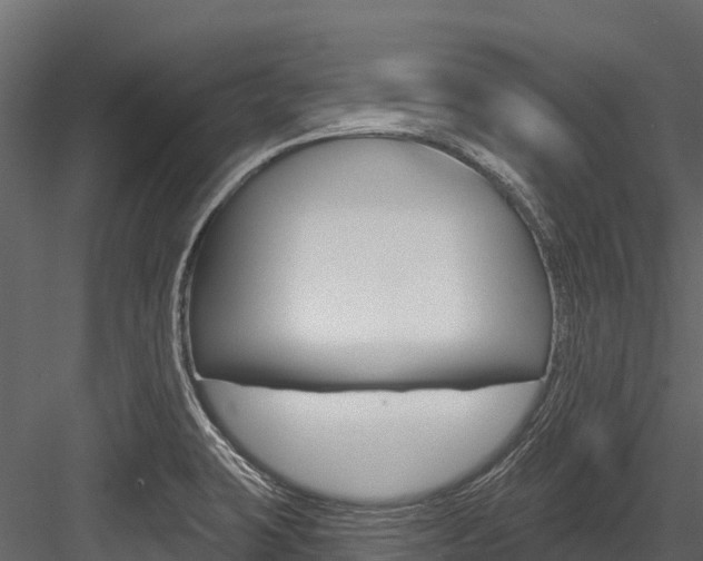 X0000084561423200702230949