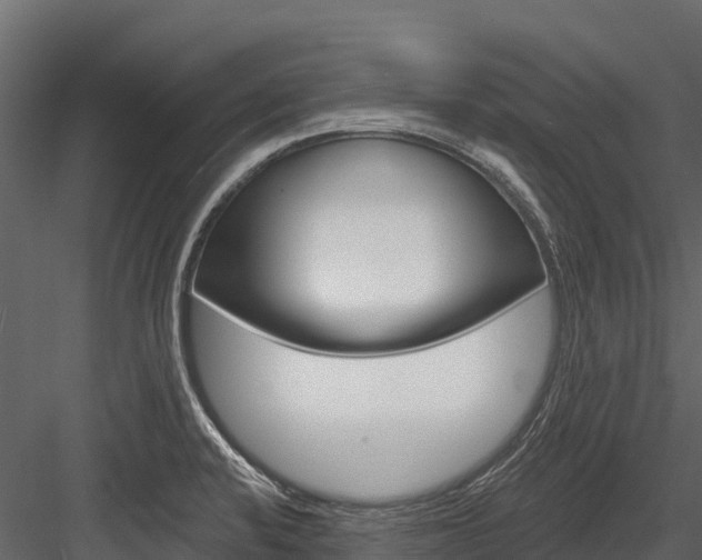 X0000084561424200702230949