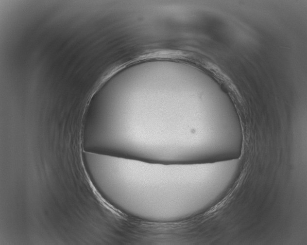 X0000084561425200702230949