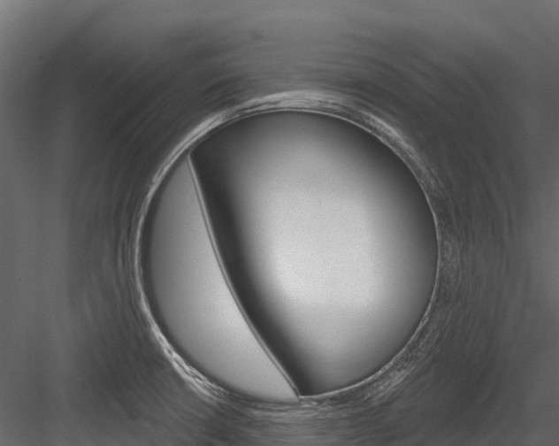 X0000084561426200702230949