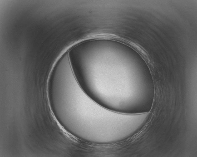 X0000084561430200702230950