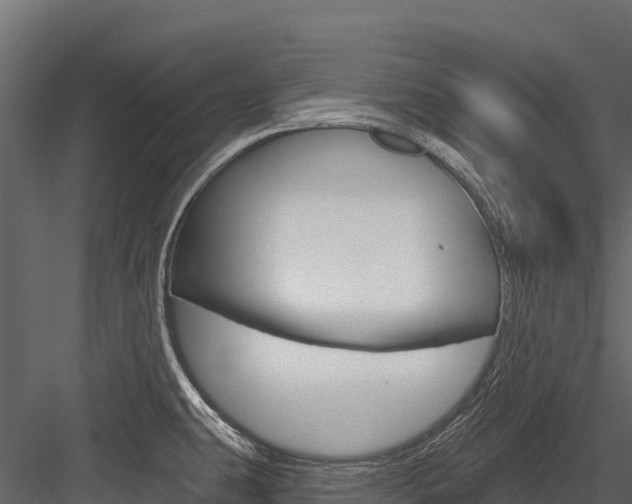 X0000084561431200702230950