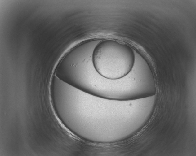 X0000084561432200702230950