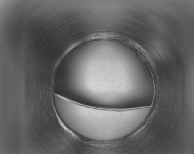 X0000084561433200702230950
