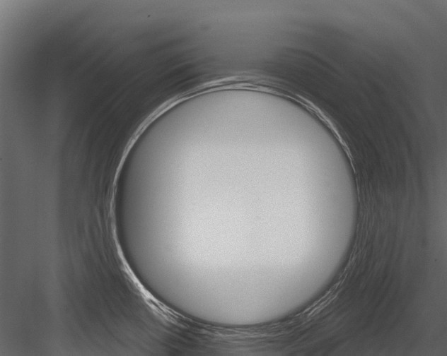 X0000084561434200702230950