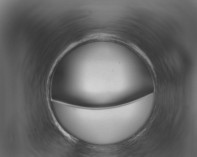 X0000084561437200702230950