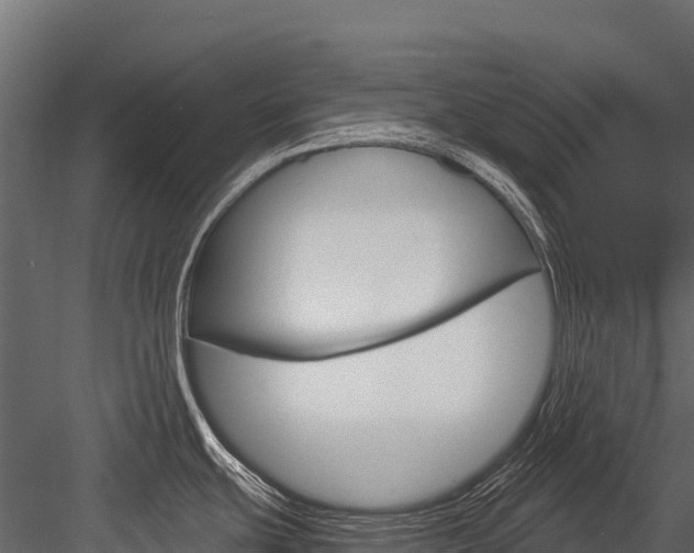 X0000084561439200702230950
