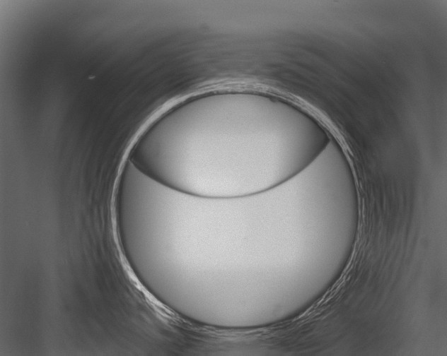 X0000084561440200702230950