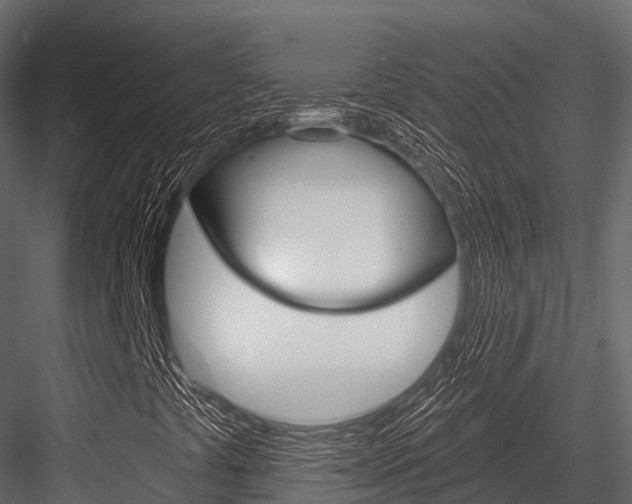 X0000084561441200702230949