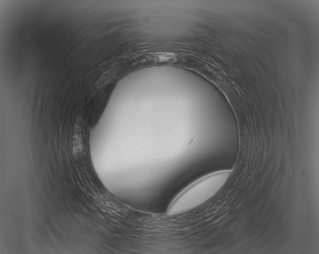 X0000084561442200702230949