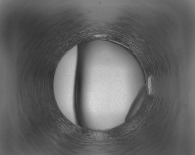 X0000084561443200702230949
