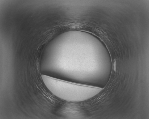 X0000084561444200702230949