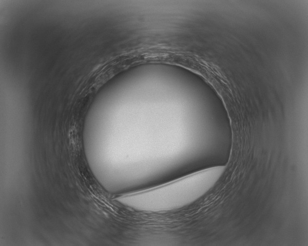 X0000084561445200702230949