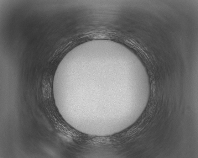 X0000084561446200702230949