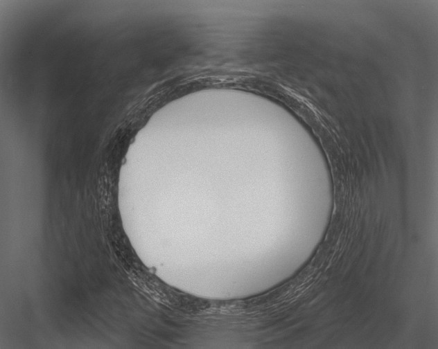X0000084561447200702230949