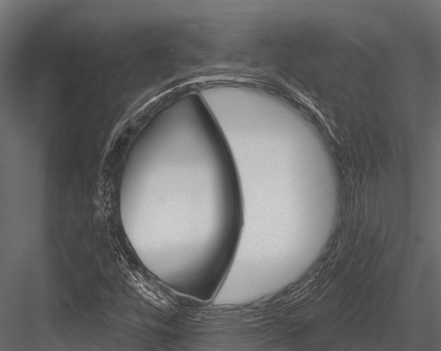 X0000084561448200702230949